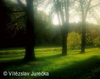 Hukvaldy 008