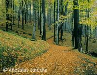 Hukvaldy 013