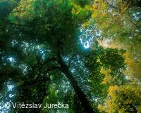 Hukvaldy 015