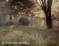 Hukvaldy 030