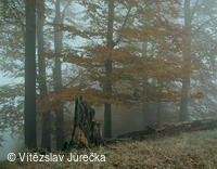 Hukvaldy 045