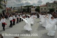 Mezinárodní armádní festival Rožnovská Valaška