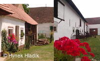Libín - S, folklorní sdružení