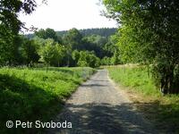 Teplice nad Bečvou - Rekonstrukce cesty - VLO