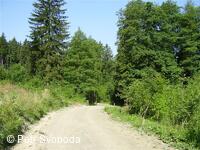 Teplice nad Bečvou - Rekonstrukce cesty - VLO