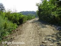 Teplice nad Bečvou - Rekonstrukce cesty - VLO