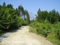 Teplice nad Bečvou - Rekonstrukce cesty - VLO
