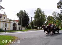 Mezinárodní folklorní festival Česká náves - Dýšina