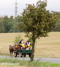 Mezinárodní folklorní festival Česká náves - Dýšina