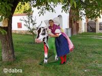 Mezinárodní folklorní festival Česká náves - Dýšina