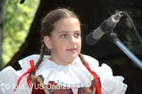 Mezinárodní armádní festival Rožnovská Valaška