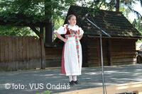 Mezinárodní armádní festival Rožnovská Valaška
