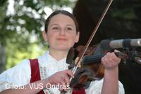 Mezinárodní armádní festival Rožnovská Valaška
