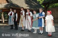 Mezinárodní armádní festival Rožnovská Valaška