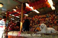 Folklorní festival Slezské dny