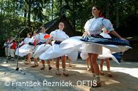 Folklorní festival Slezské dny