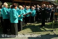 Folklorní festival Slezské dny