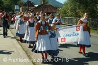 Folklorní festival Slezské dny
