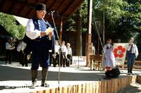 Folklorní festival Slezské dny