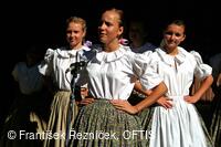 Folklorní festival Slezské dny