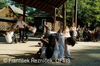 Folklorní festival Slezské dny