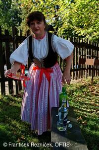 Folklorní festival Slezské dny