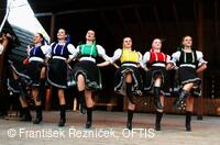 Folklorní festival Slezské dny