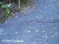 Víceúčelový lázeňský okruh Teplice nad Bečvou