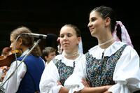 Folklorní sdružení PÚČIK