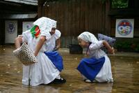 Folklorní sdružení PÚČIK
