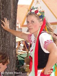 Libín - S, folklorní sdružení