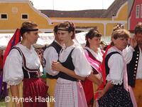 Libín - S, folklorní sdružení