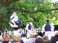Mezinárodní folklorní festival Setkání s folklorem