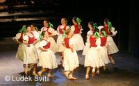 Púčik, folklorní soubor