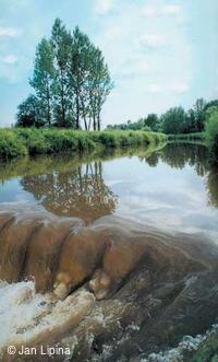 Řeka Odra