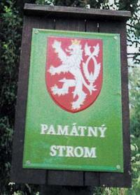 Památný strom