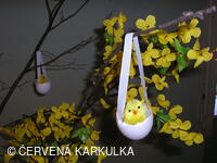 Velikonoce - kuře