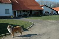 MAS Železnohorský region