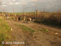 Trnávský sprint 3. ročník 13.-14.10.2007