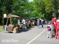 Slavnosti Perníkového hejtmanství 2008