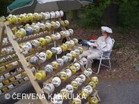 Slavnosti Perníkového hejtmanství 2008