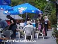Slavnosti Perníkového hejtmanství 2008