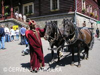 Setkání Jeníčků a Mařenek 2005 - král Jan Lucemburský