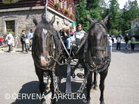 Setkání Jeníčků a Mařenek 2005