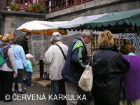 Setkání Jeníčků a Mařenek 2007