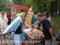 Svatováclavská perníková tlačenice 2006