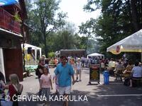 Sousedské slavnosti 2008