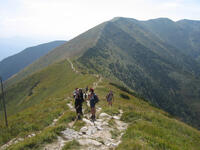 Malá Fatra 2008