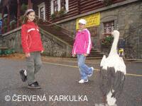 Perníkiáda s VŘSR 2008