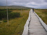Krkonoše 2009